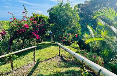 Puerto Jiménez Cama Y Desayuno | El Cerrito