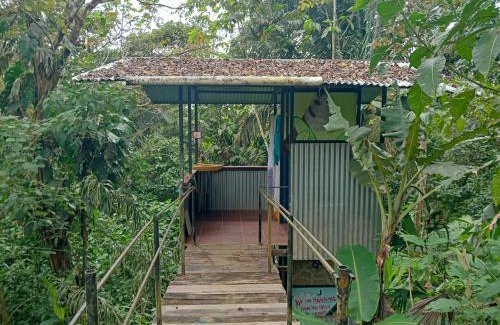 Puerto Jiménez Cama Y Desayuno | El Cerrito