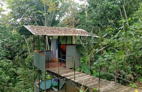 Puerto Jiménez Cama Y Desayuno | El Cerrito