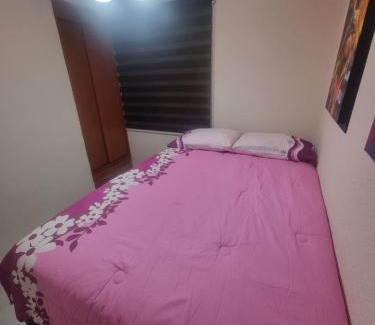 Venustiano Carranza Apartamento | EL DEPA DE NATALIA max 7
