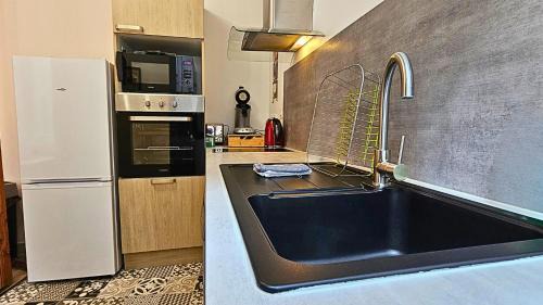 Esperaza Apartamento | El Dino in country cathare*PRO*Oc Keys011