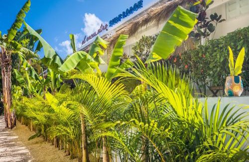 Cabarete Hotel | El Encuentro Surf Lodge
