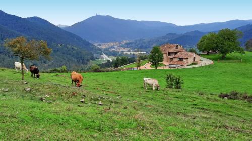 Ripoll Casa | El Guitart - Turisme Rural