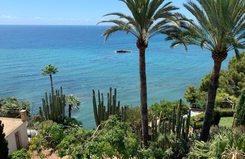 Altea la Vella Cama Y Desayuno | El jardin Botánico Villa LUZ