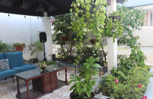 Sector 1 Nor-Oeste Cama Y Desayuno | El Jardin de la Nonna