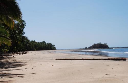 Torio Casa | El nido del tucán