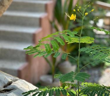 Troncones Apartamento | El Nido, Riad San Cristobal