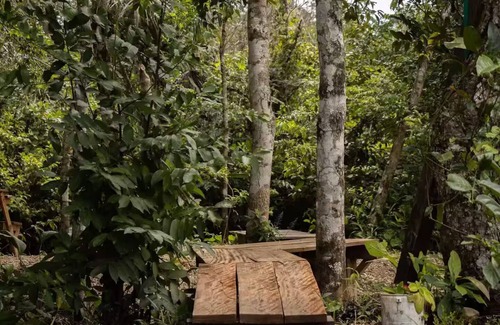 La Macarena Cama Y Desayuno | El Nido serene cabin with natural pool and chef 2
