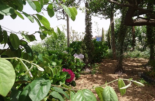 La Orotava Cabaña | "El pajar de Inés" Casa rural con vistas al Teide