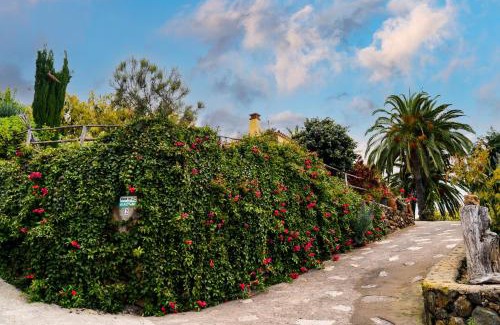 Tijarafe Casa | El Palmeral