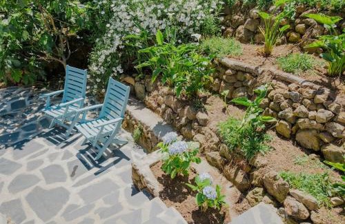 La Orotava Villa | El Pino Centenario 4B