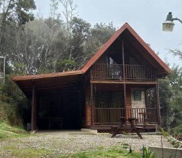 Copey Chalet De Esquí | El Quetzalito Cabin