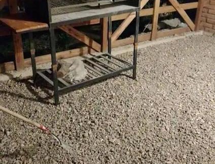 San Luis Apartamento | El refugio