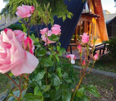 Llifen Casa | El rincon del lago