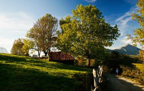 Santovena Casa | El Secreto de Asturias