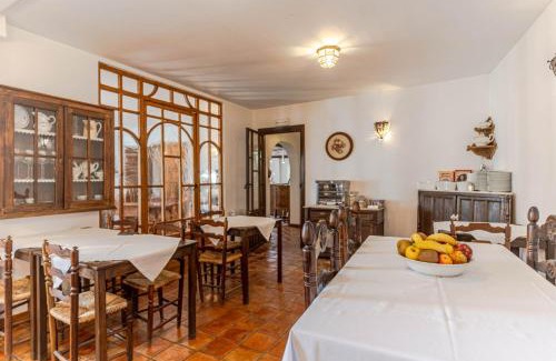 Nigüelas Casa | El Secreto del Olivo