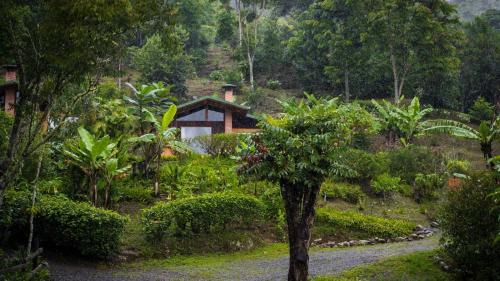 Copey Cabina | El Toucanet Lodge & Restaurante