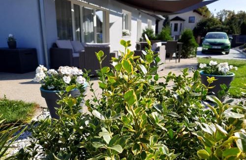 Skalna Casa | Ela Apartment Vilová