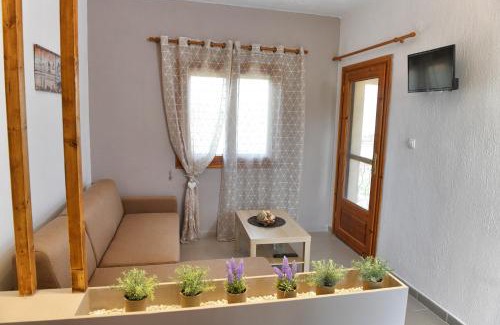 Psakoudia Apartamento | Elaionas Apt.