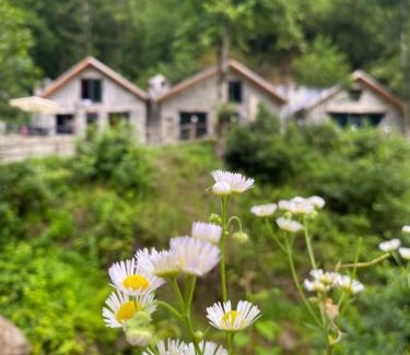 Ayder Complejo | Elavina Suit Bungalov