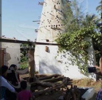 Luxor Alquiler De Eote | Elbess For Tourism