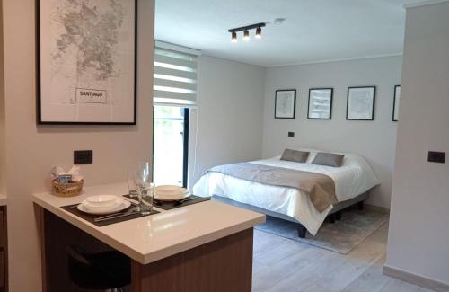 Providencia Apartamento | ELDEPTO Padre Mariano Apart Hotel