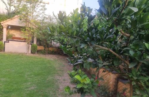 Punjab Casa | Elegance Abounds