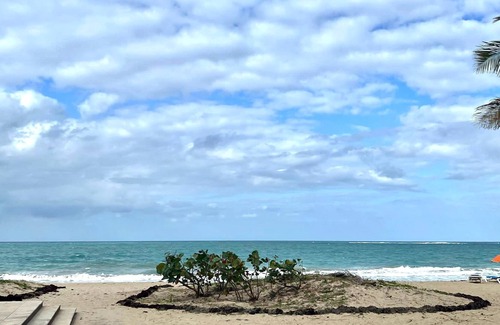Parque Apartamento | Elegant 1-Br Penthouse in Condado