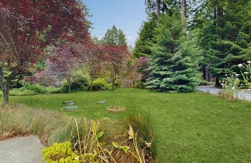Mendocino Casa | Elegant, dog-friendly home among redwoods w/ large deck & incredible forest view