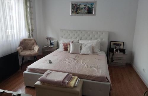 Negresti-Oas Casa | Elegant House in a Small Village