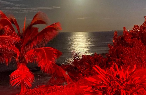 Hato Abajo Apartamento | Elegant Ocean-Front Apartment, PRIVATE Jacuzzi, BBQ