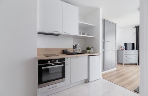 Pradnik Bialy Apartamento | Elegant Pet-Friendly Studio in Krakow by Noclegi Renters