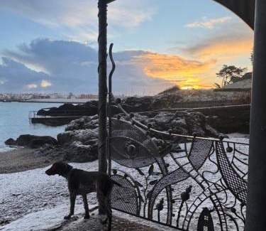 Bangor Apartamento | Elegant Seaview Apartment