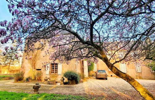 Fontenay Casa | Elegantes apartamentos de Pazo en Baja Normandía, cerca de Monte Saint-Michel 15 plazas