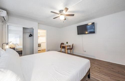 St. Petersburg - Clearwater Apartamento | Elegant Studio Apartment in Downtown St Pete - Great Community Events!