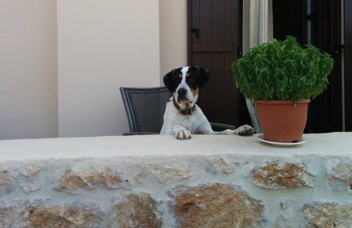 Neo Itilo Apartamento | Apartamentos Petra, Grecia
