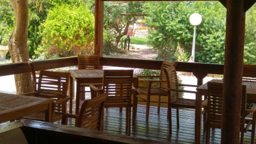 Elifaz Cama Y Desayuno | Elifaz Desert Experience Holiday