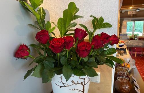 Serfaus Casa | Elisabeth Serfaus inkl der SUPER SOMMER CARD im SOMMER 2025