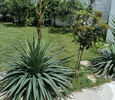 Paralia Ofryniou Apartamento | Elizabeth's apartment1