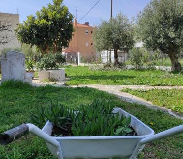 Paralia Ofryniou Casa | Elizabeth's apartment2