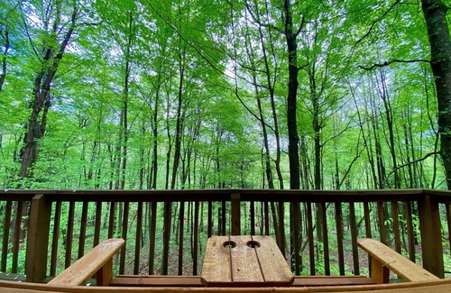 South Bloomingville Cabina | Elk - Hocking Hills: 2 dormitorios, 1 BA Cabaña / Bungalow en Logan, para 4 personas