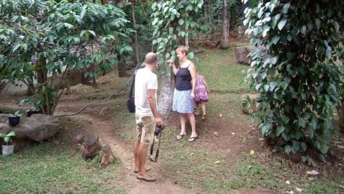 Wellawaya Hotel | Ella Nature Park Hotel