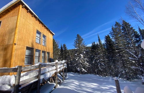 Champion Cabina | Ellens’s Cabin Where comfort meets wilderness, remote yet cozy