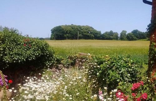 Skeyton Casa | Elm Tree Barn