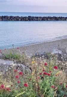 Middleton-on-Sea Casa | Elmer belle beach Bognor regis accommodation