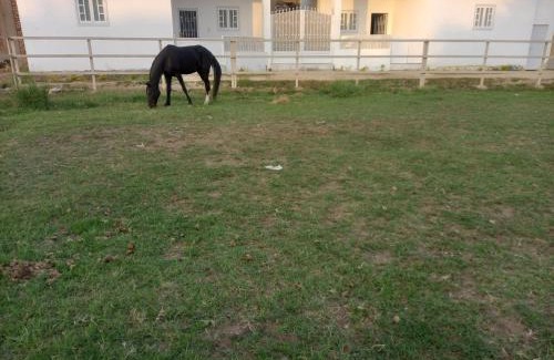 Luxor Apartamento | Elreda flats