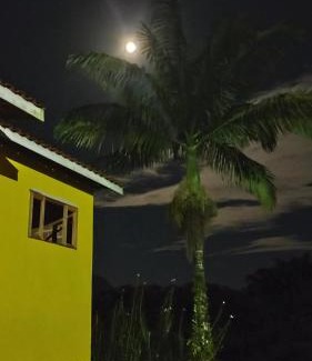 Ubatuba Casa | Em Harmonia com a Natureza