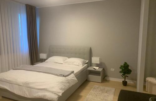 Tirgu Jiu Apartamento | EM04- Studio premium