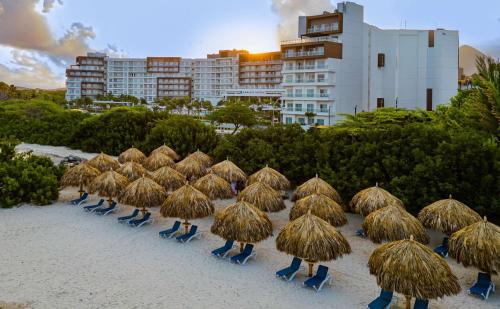Palm Beach Complejo | Embassy Suites By Hilton Aruba Beach Resort