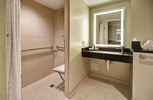 Streeterville Hotel | Embassy Suites by Hilton Chicago Downtown Magnificent Mile